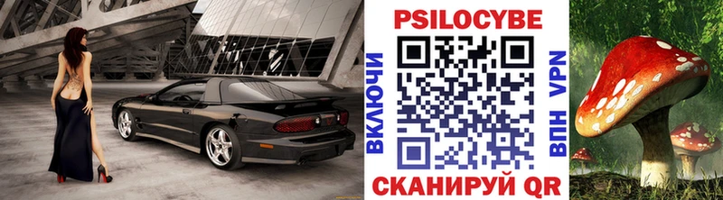 ОМГ ОМГ онион  Ковылкино  Псилоцибиновые грибы Psilocybine cubensis 
